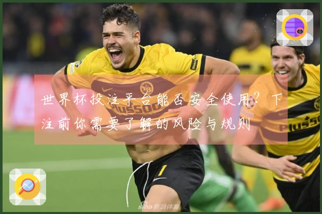 世界杯投注平台能否安全使用？下注前你需要了解的风险与规则