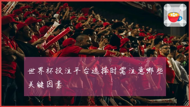 世界杯投注平台选择时需注意哪些关键因素